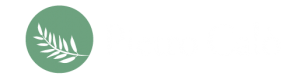 Pietro Calo Logo